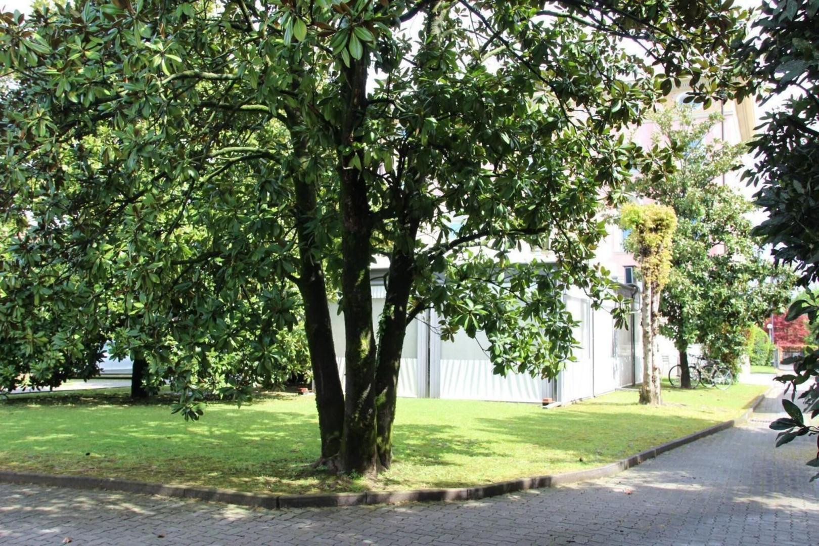 Villa Leon d'Oro foto 11