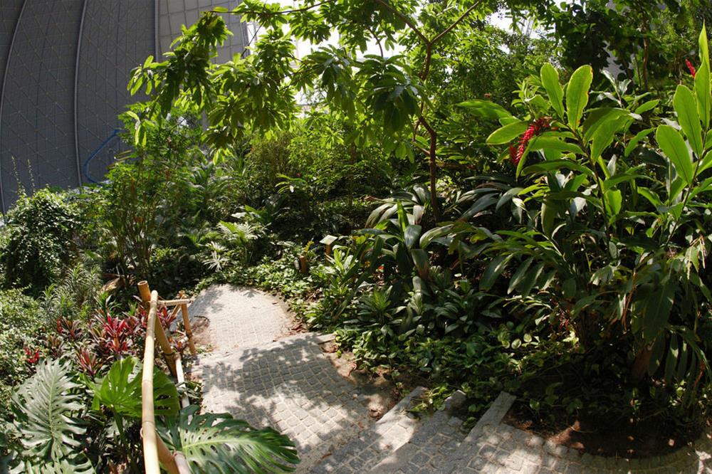 Tropical Islands foto 18