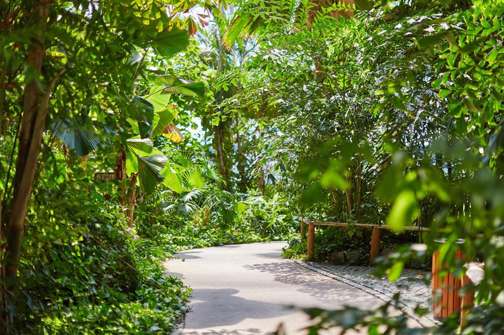 Tropical Islands foto 42