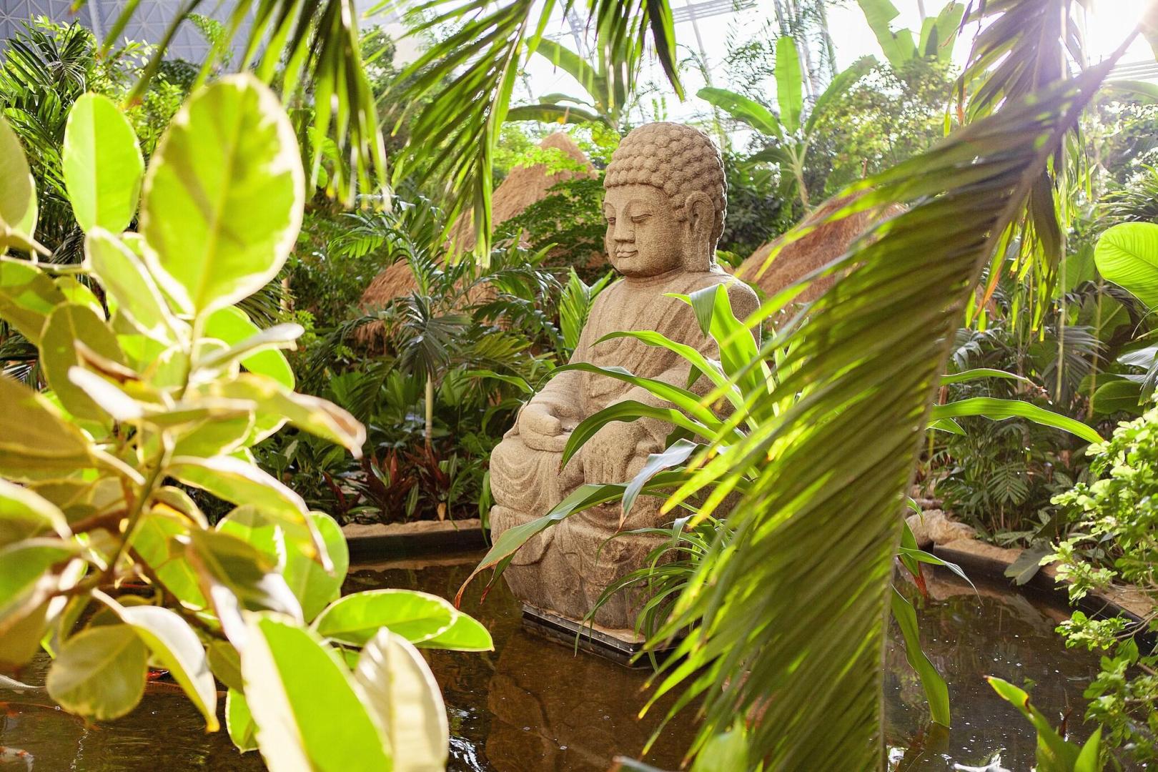 Tropical Islands foto 21