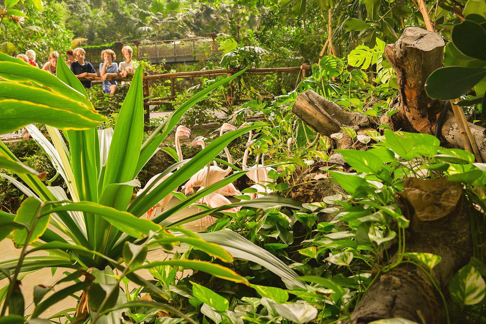 Tropical Islands foto 25