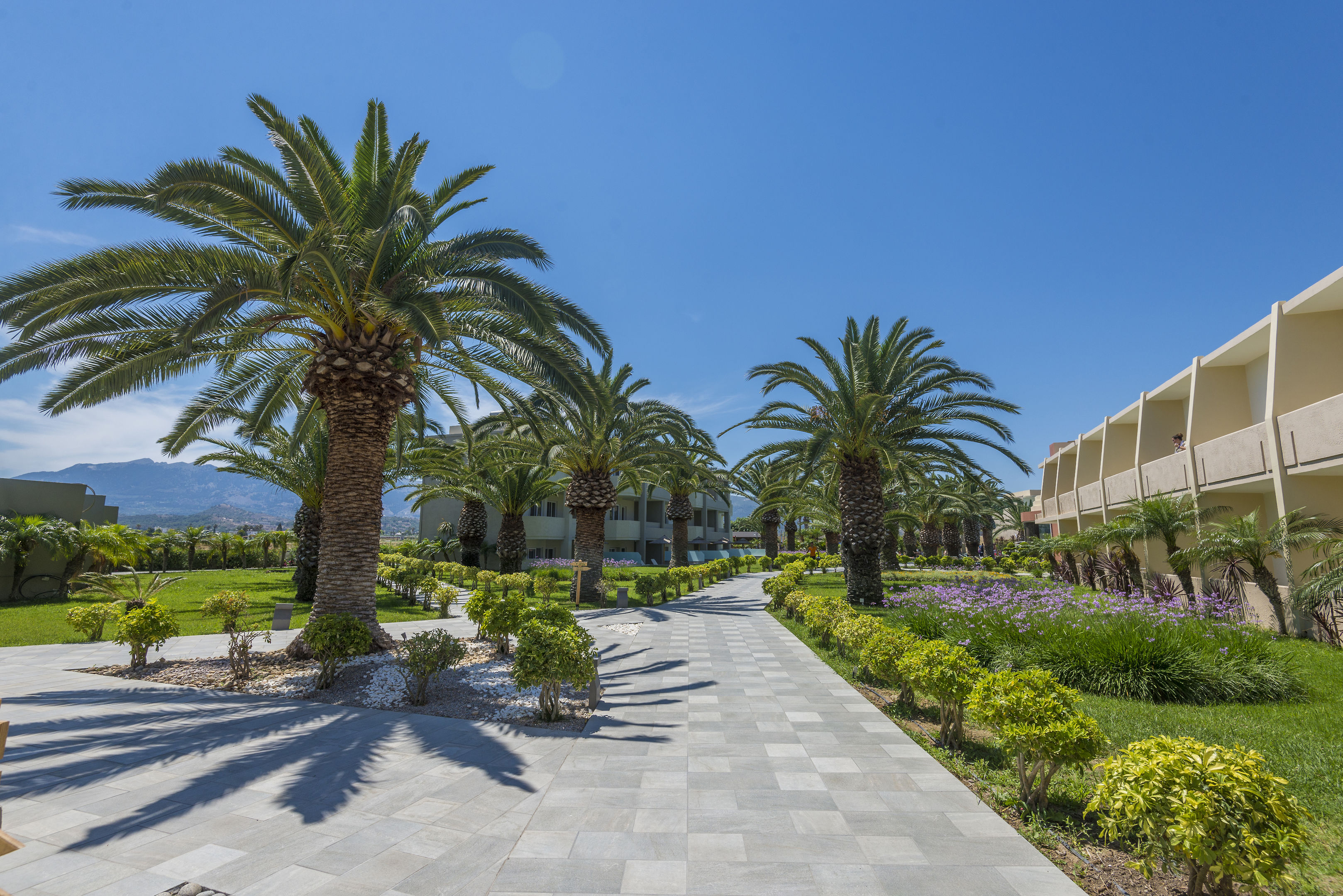Sandy Beach Hotel foto 46