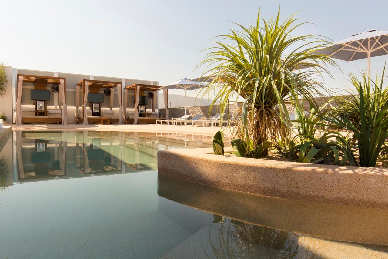 een zwembad met planten en een parasol naast een gebouw bij Airotel Alexandros in Athene