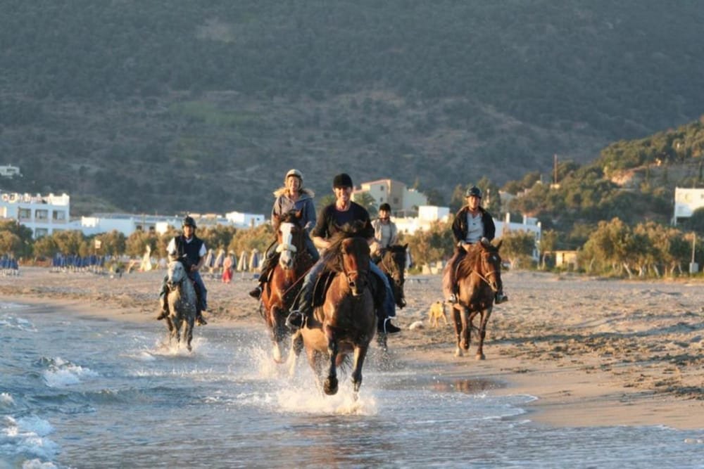 Alianthos Beach foto 26