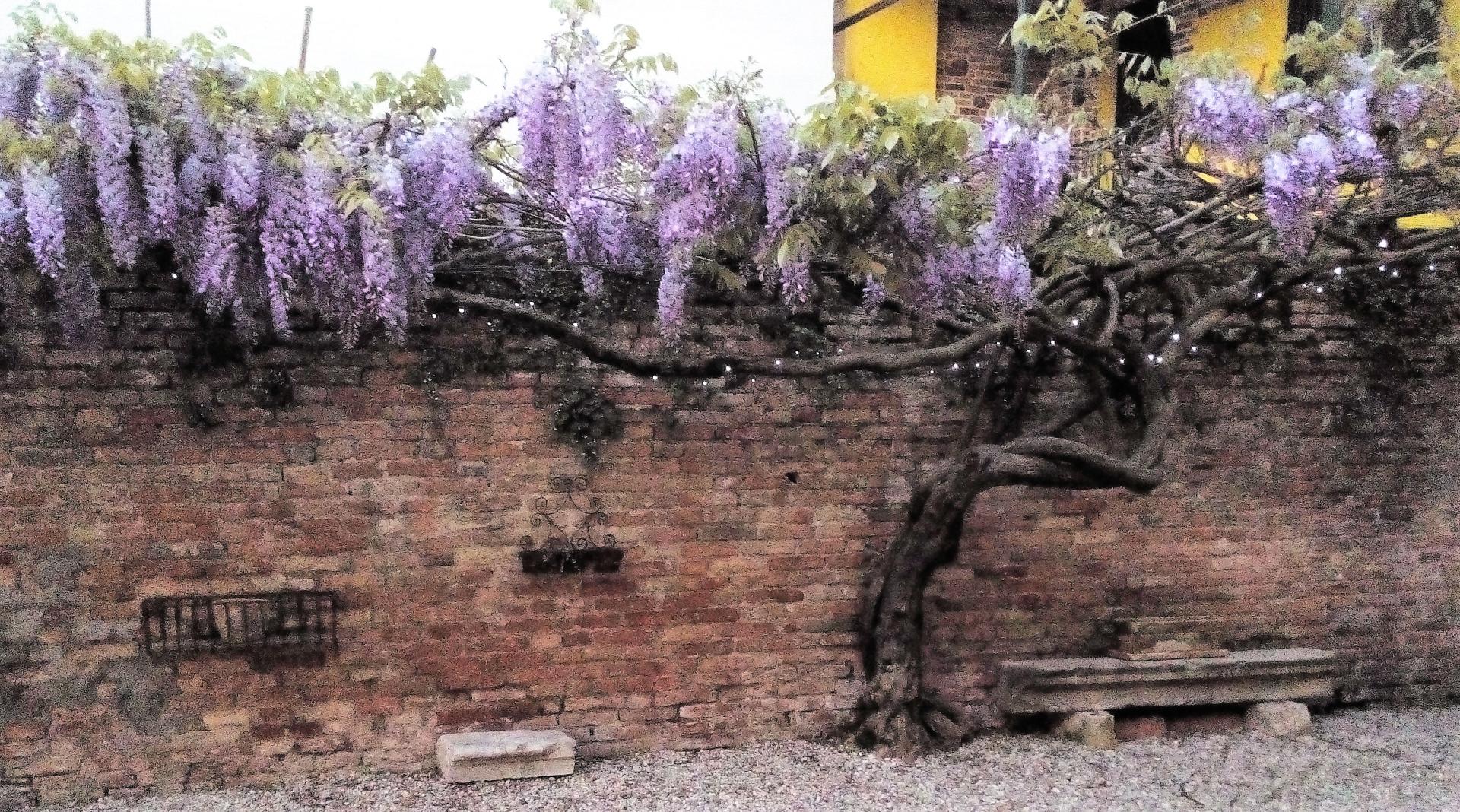 Hotel Relais Alcova Del Doge foto 12