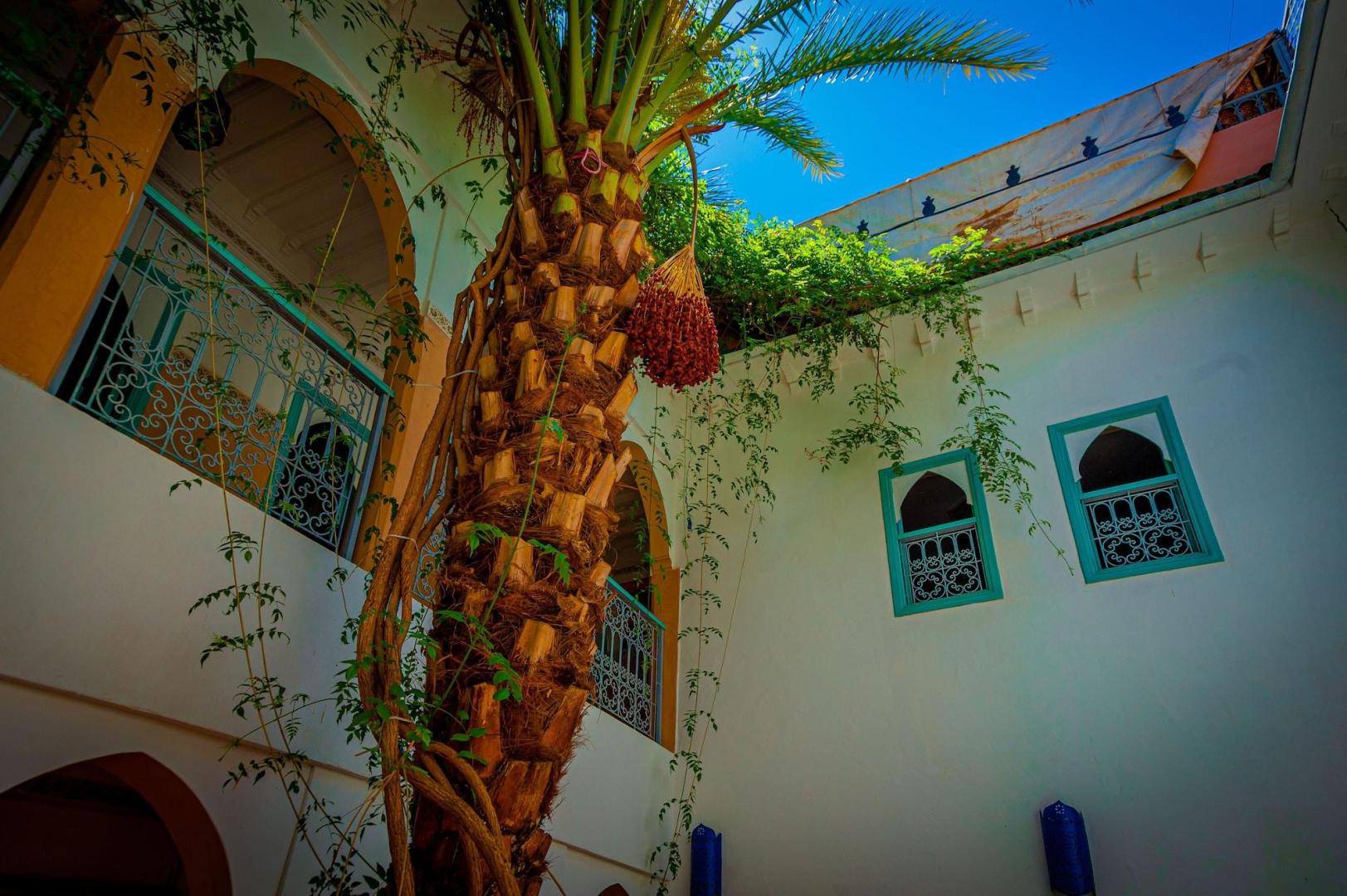 Riad Dar Mamouni foto 12