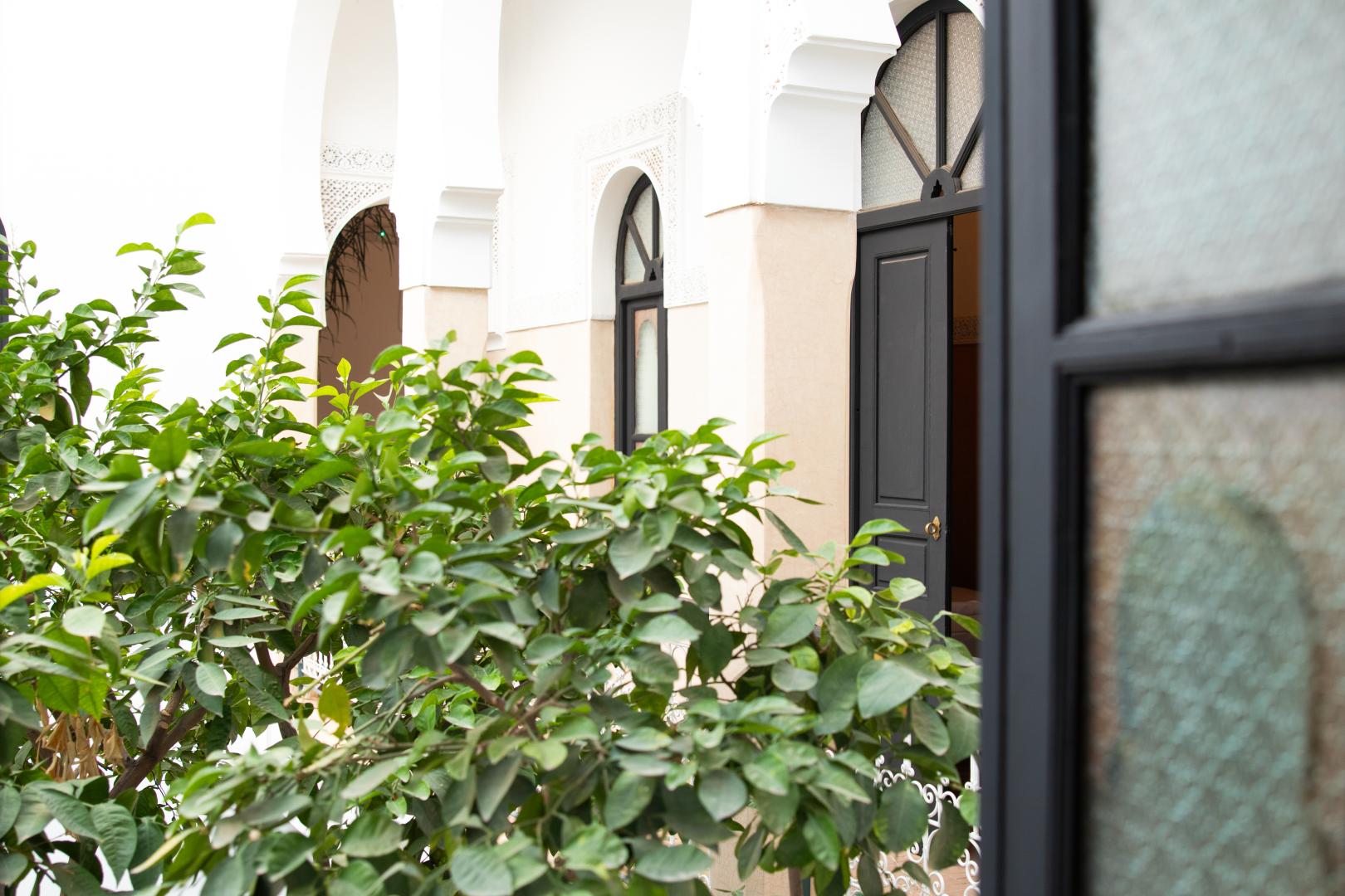 Riad Amegrad foto 8