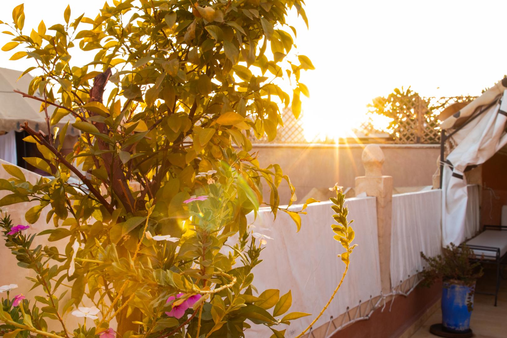 Riad Amegrad foto 9