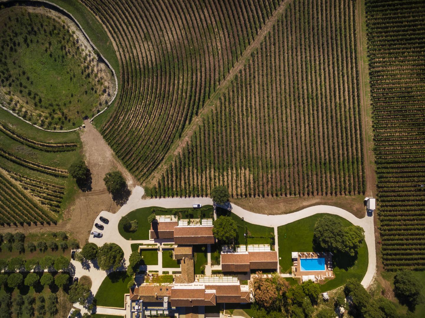 Meneghetti Wine Hotel & Winery foto 18