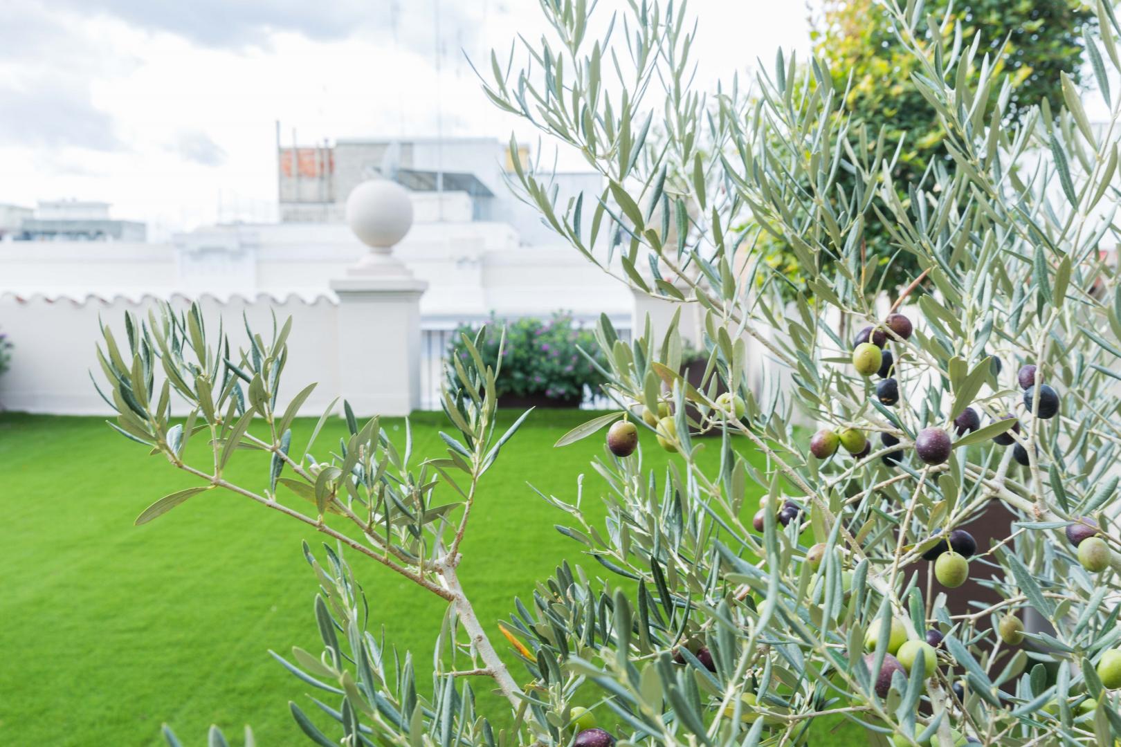 200 Rooms & Terrace foto 7