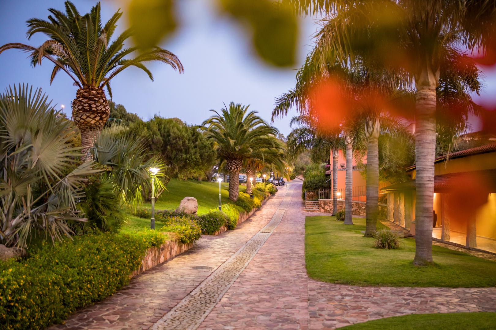 Tropische tuin met palmbomen — Hotel Club Saraceno