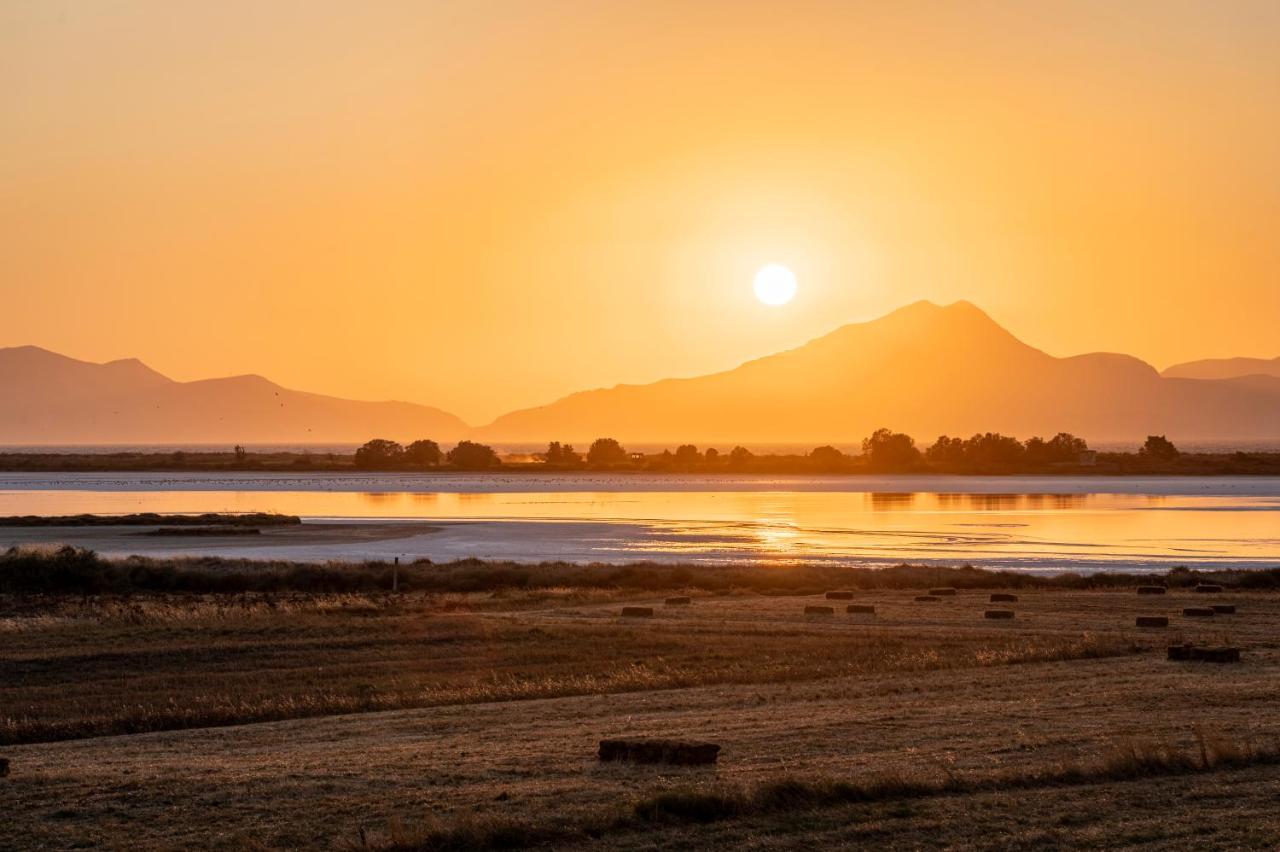 Oasis Tigaki