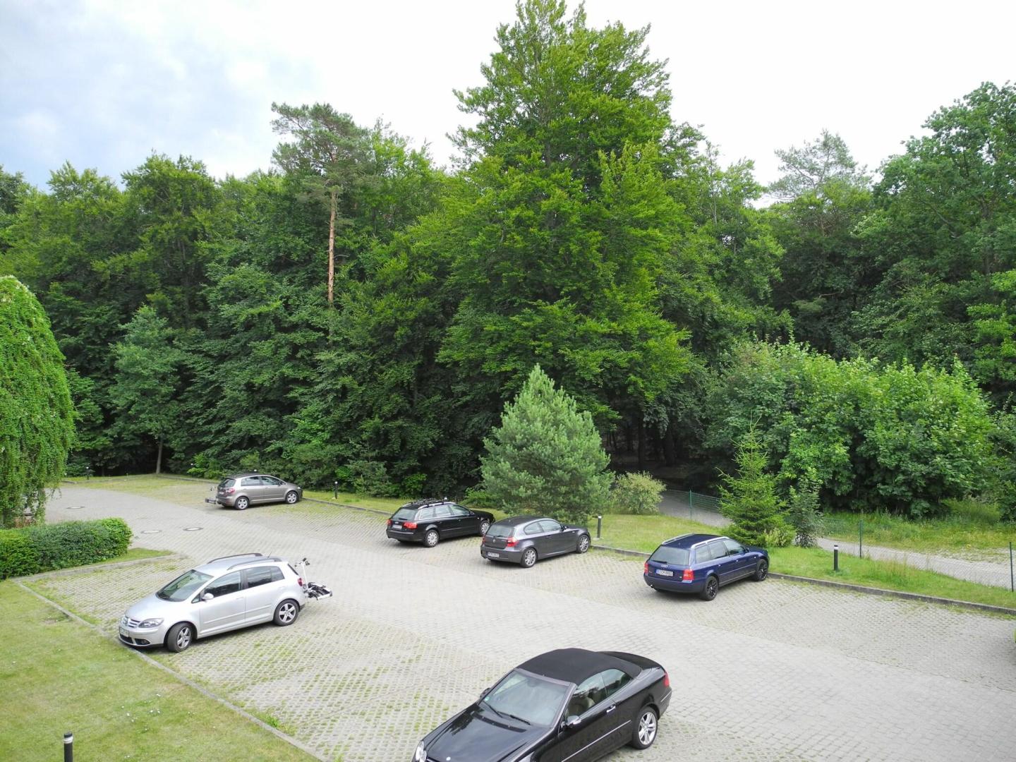 Waldhotel Wandlitz foto 3