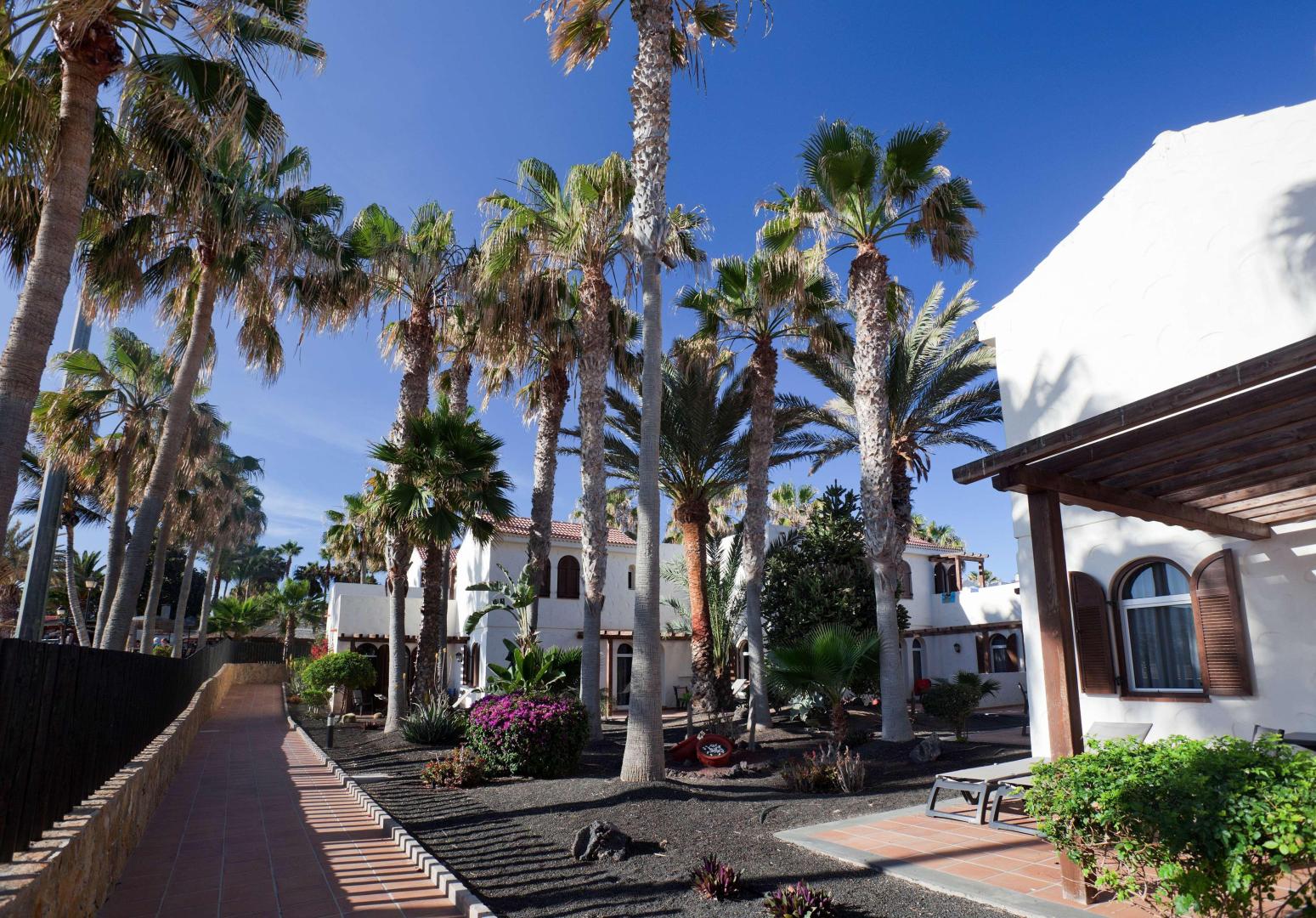 Barceló Fuerteventura Castillo foto 27