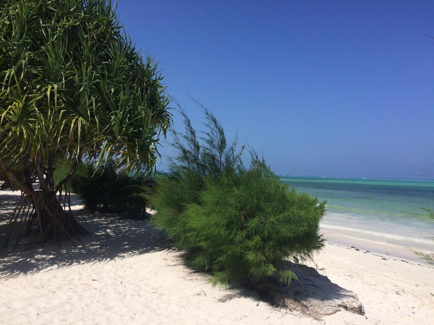 Neptune Pwani Beach Resort & Spa foto 45