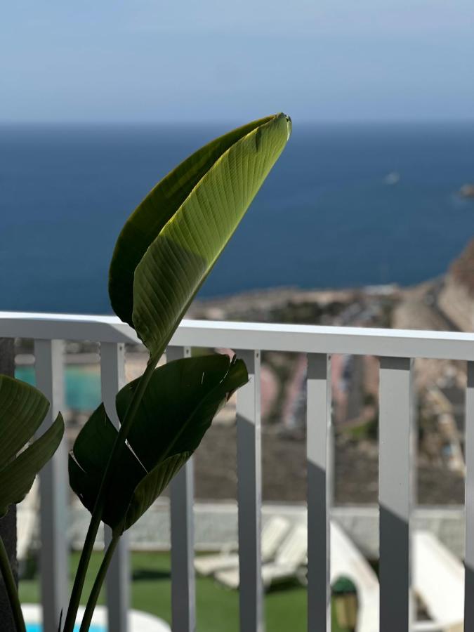een groene plant die op een witte reling staat bij AMADORES BEACH VIEW APARTMENT in Amadores