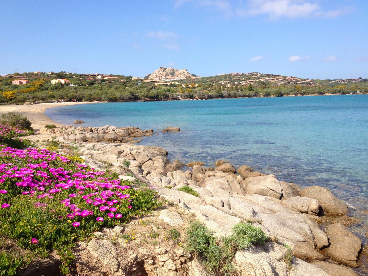 Bloementuin — Camping Village Capo D'Orso
