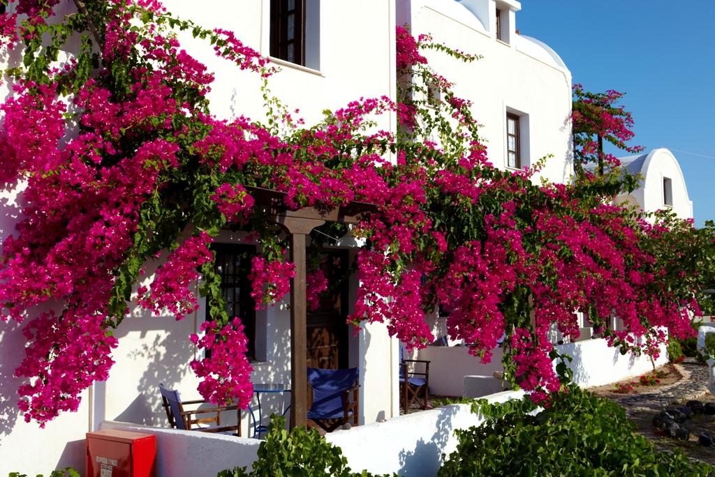 Anna Traditional Apartments