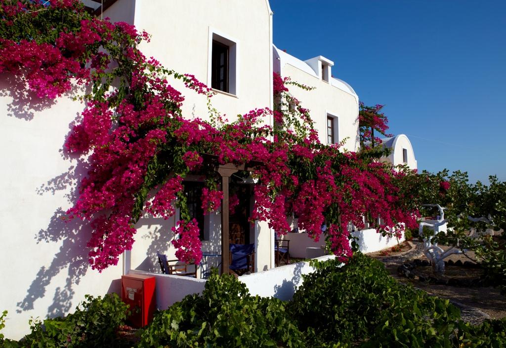 Anna Traditional Apartments foto 10