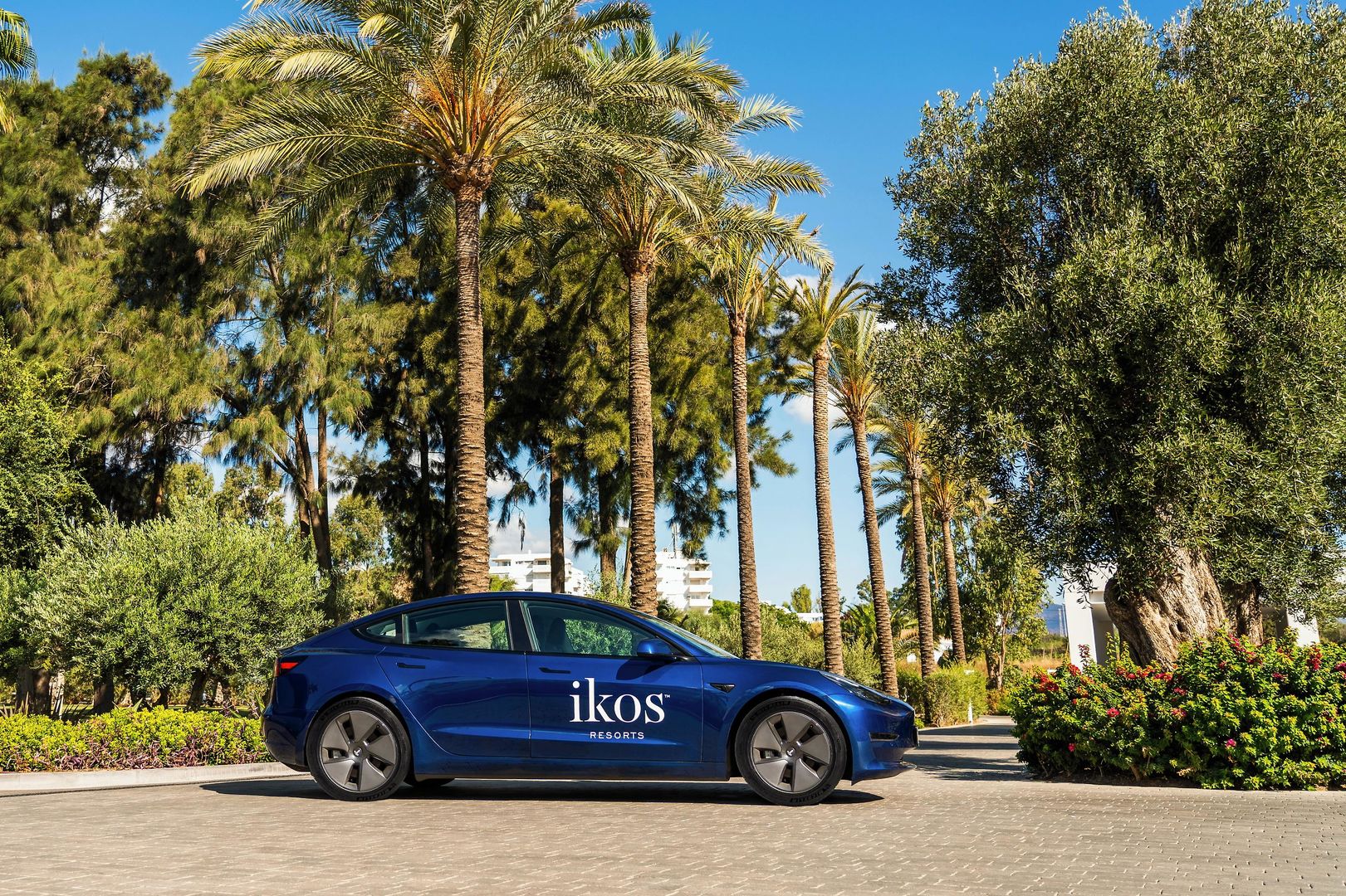Ikos Andalusia foto 614