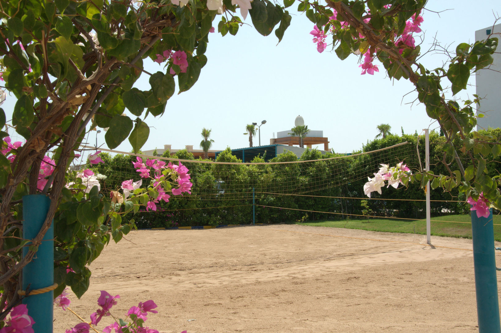 Sharm Cliff Resort foto 44
