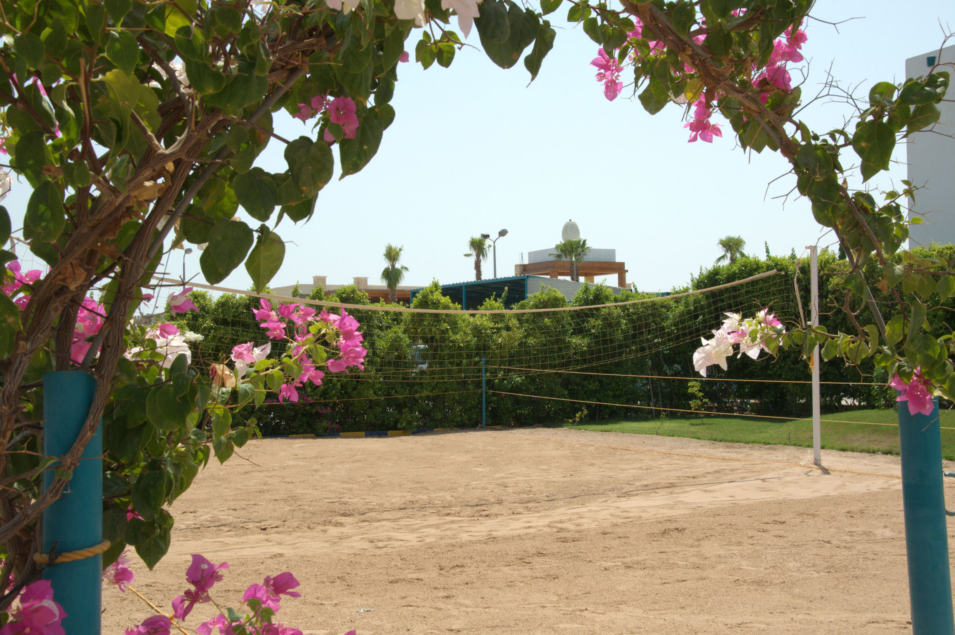 Sharm Cliff Resort foto 45