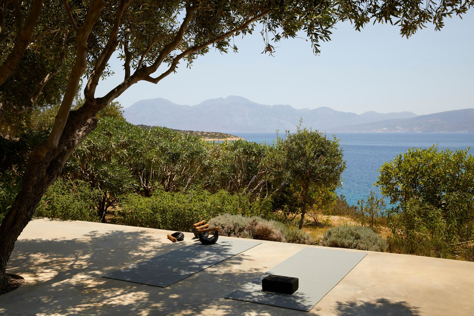 Minos Palace hotel & suites foto 28