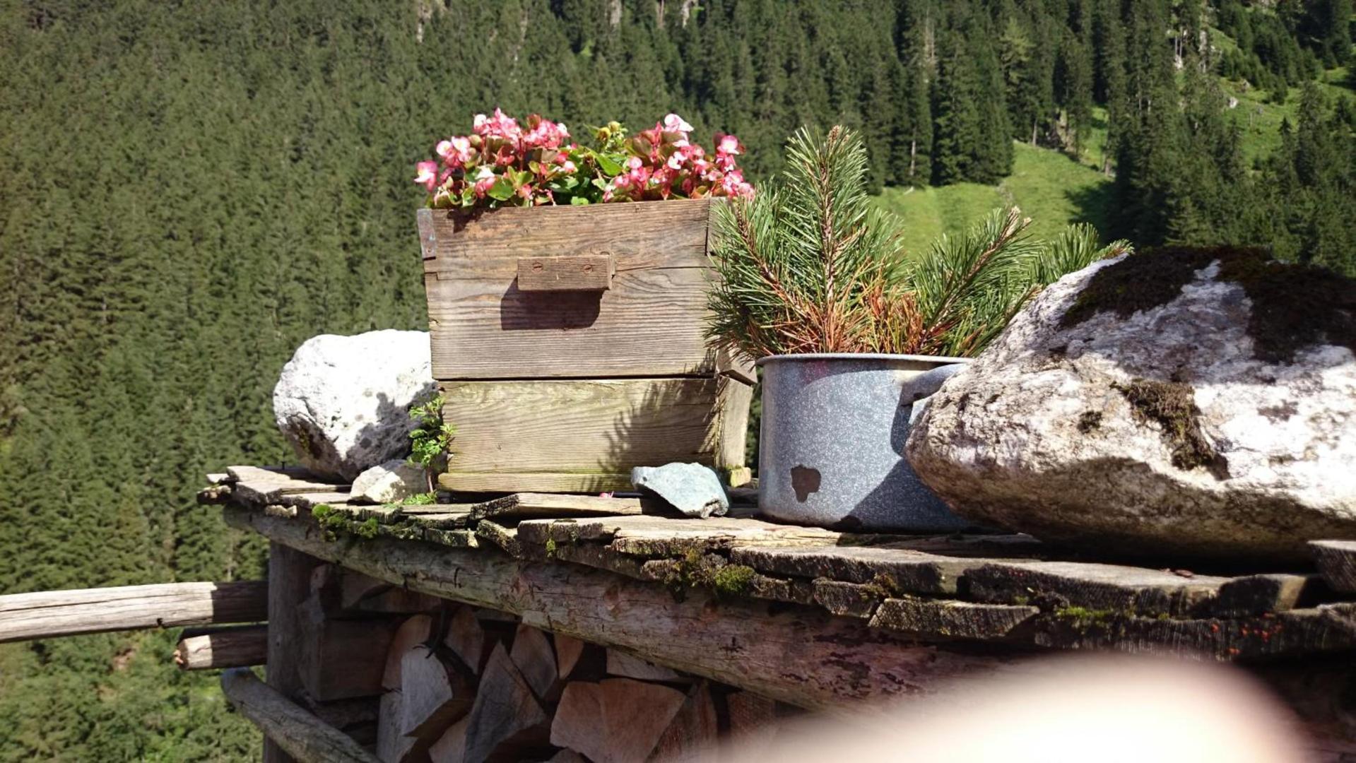 Eckartauerhof foto 31