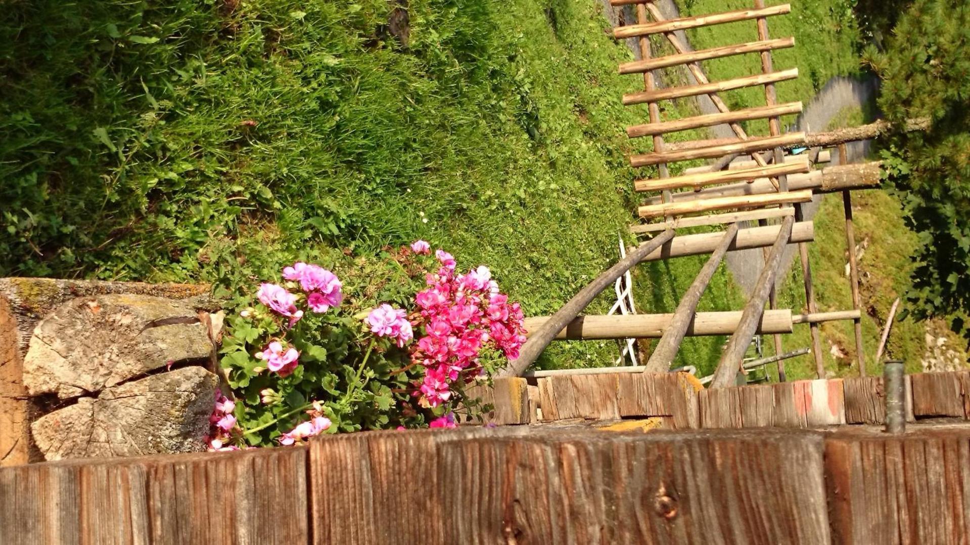 Eckartauerhof foto 33