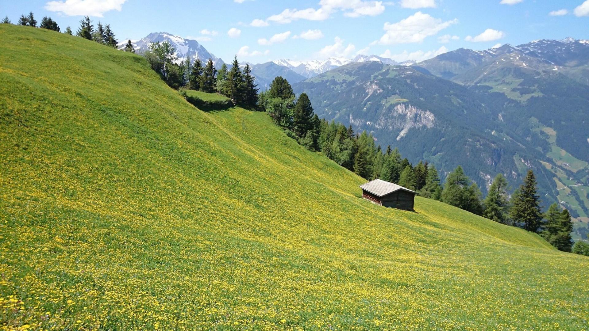 Eckartauerhof foto 13