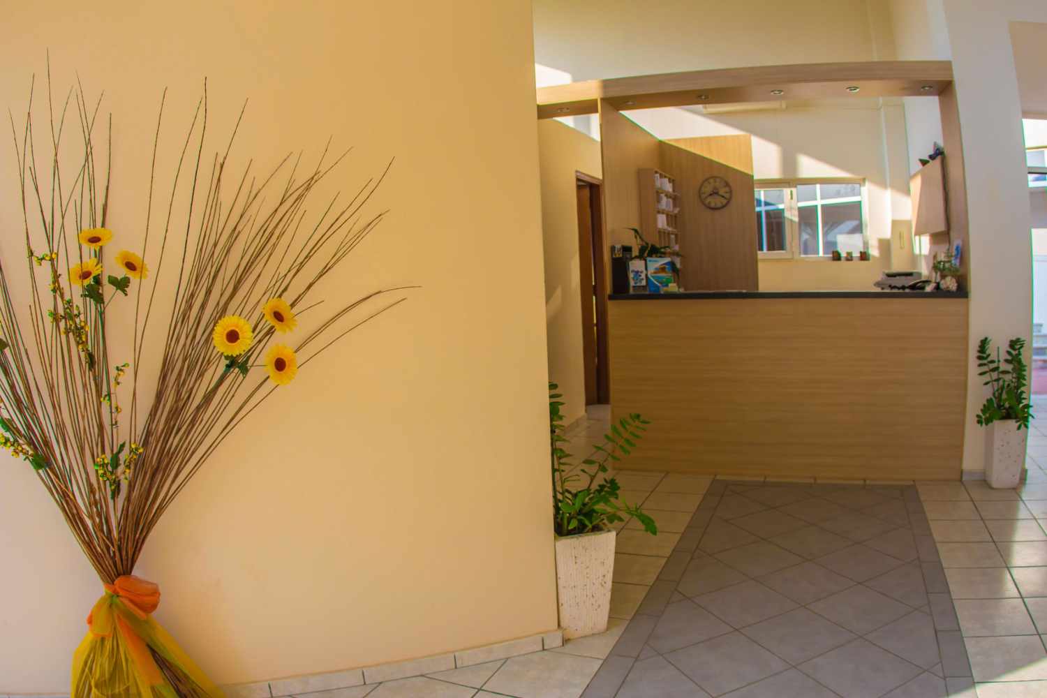 Akti Corali Hotel foto 88