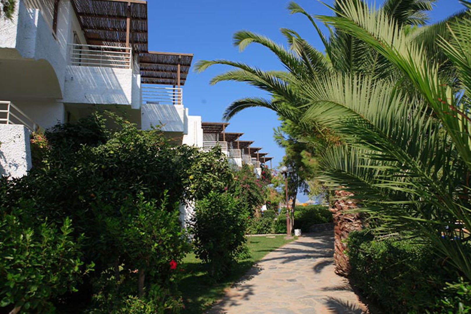 Apollonia Resort & Spa foto 28
