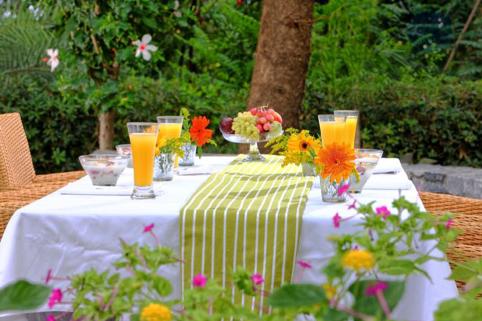 Apollonia Resort & Spa foto 16