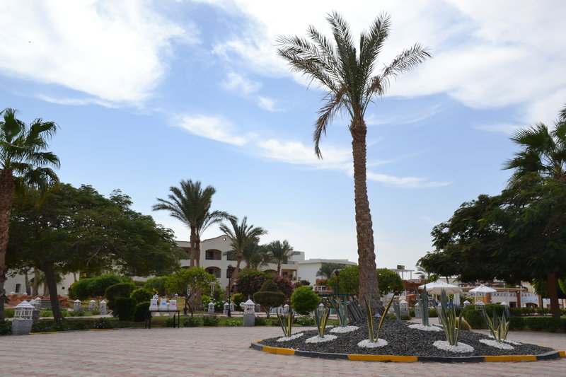 Regency Plaza Aqua Park & Spa Resort foto 29