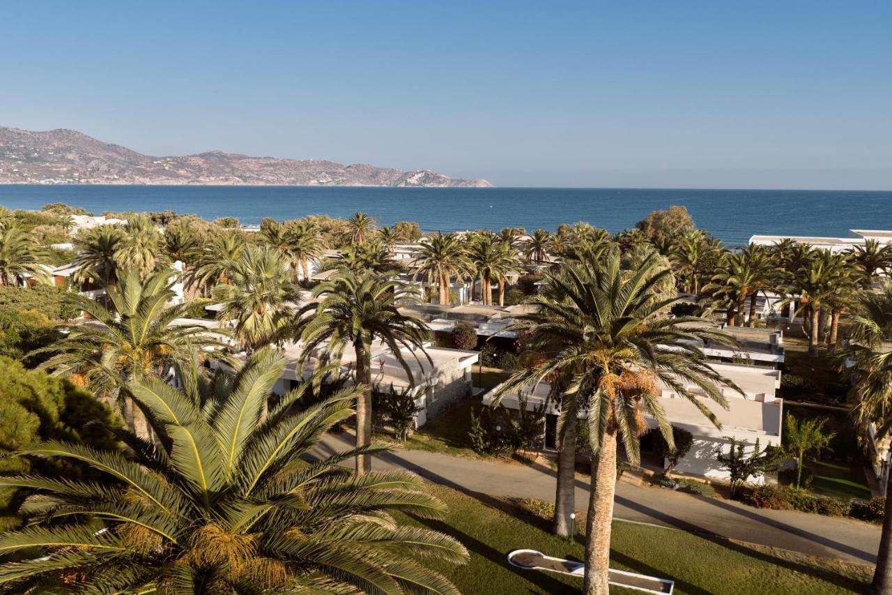 een groep palmbomen voor de oceaan bij Civitel Creta Beach in Amoudara Herakliou