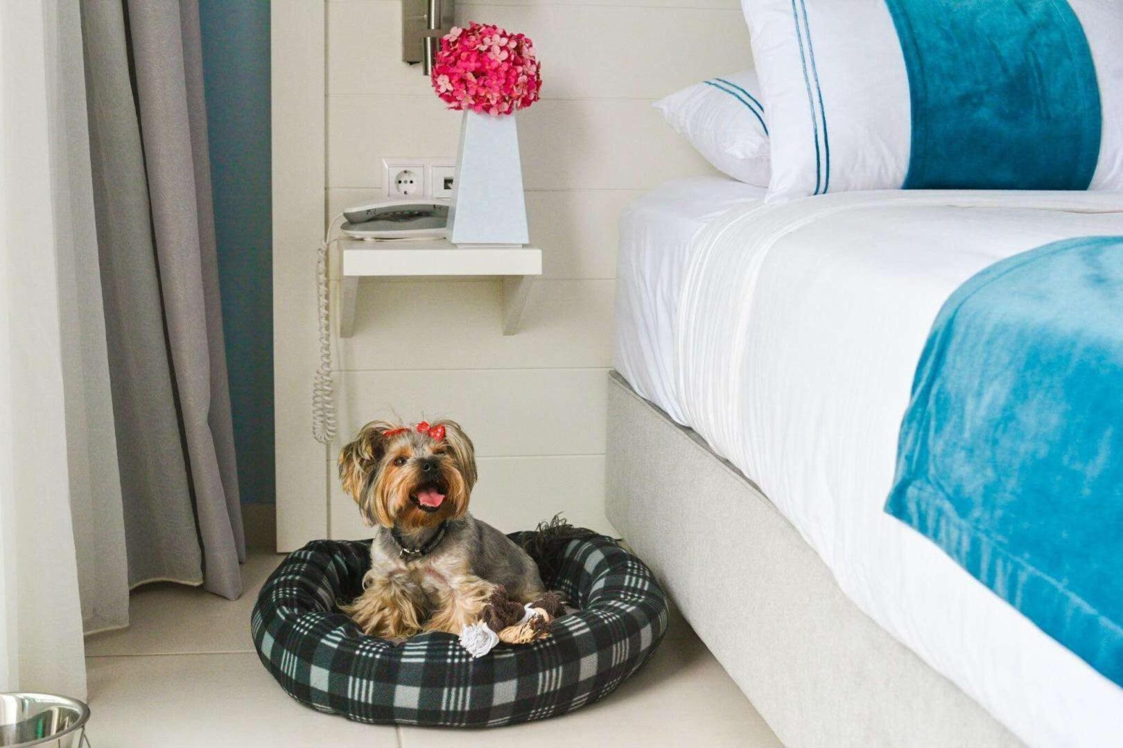 Acrotel Lily Ann Boutique Hotel foto 46