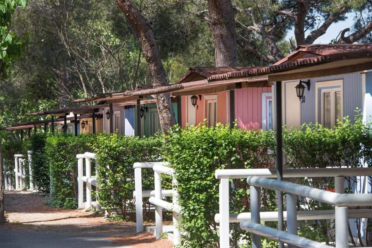 Camping Caledonia foto 19