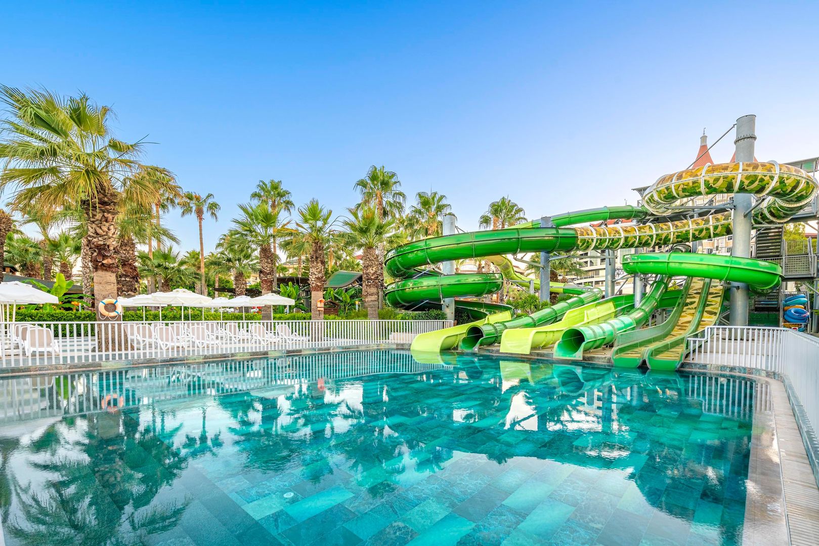 Leodikya Kirman Premium image 3