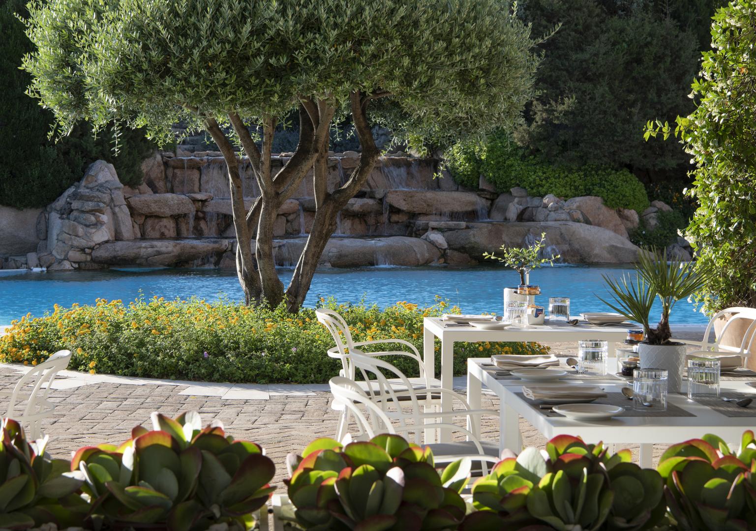 Tropische tuin met palmbomen — CPH Pevero Hotel