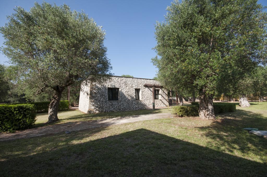 Color Dolmen Family Village foto 15