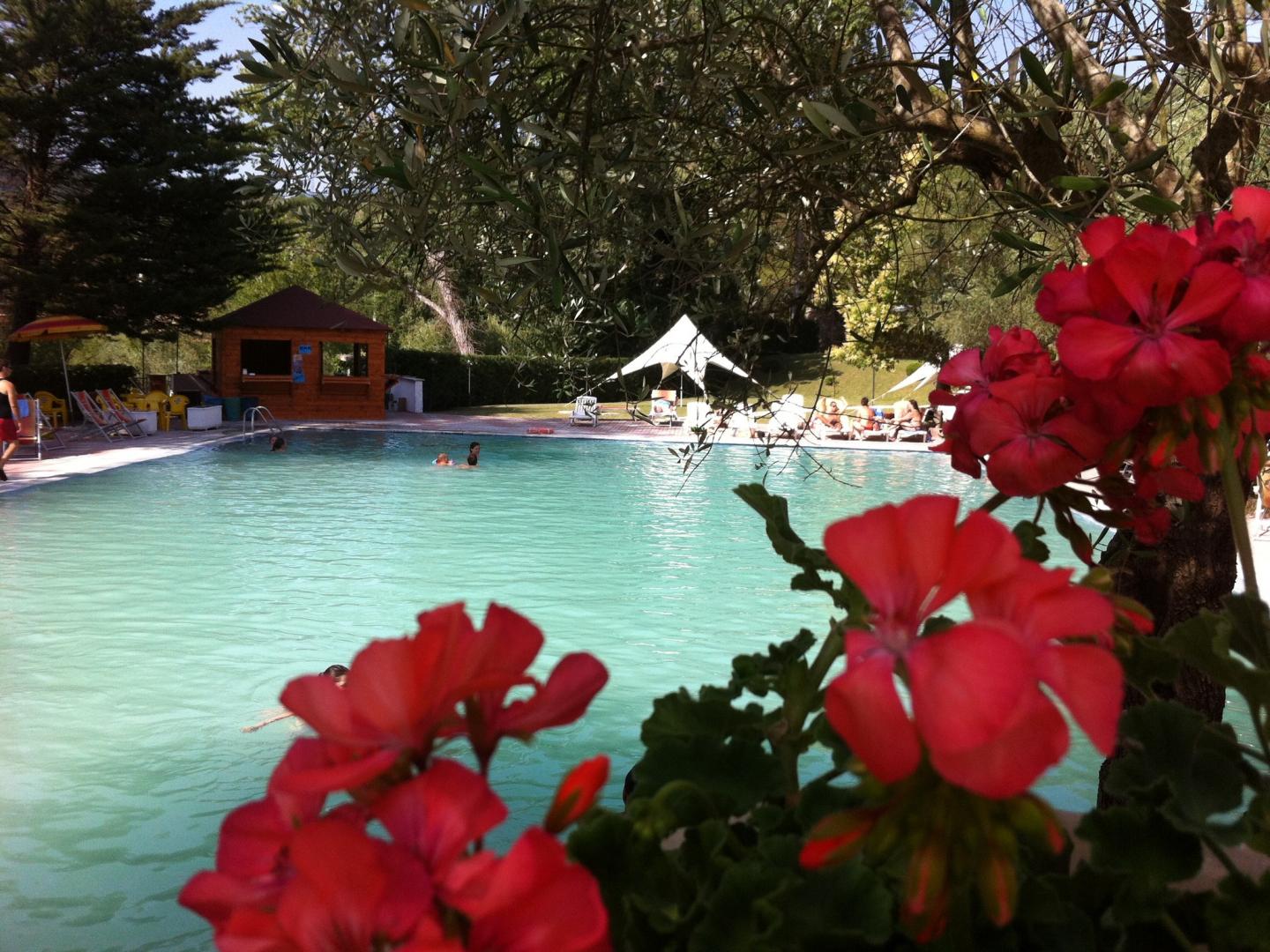 Terme Forlenza Hotel foto 13
