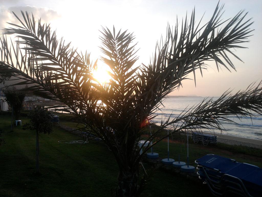 Ariadne Beach Hotel foto 4