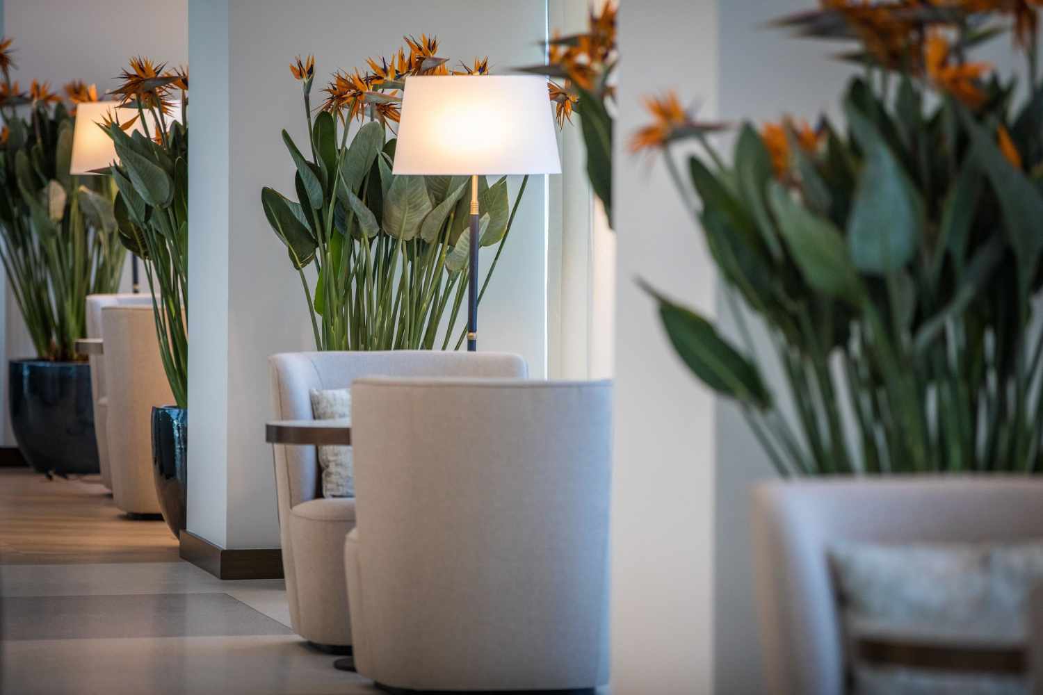 Rixos Premium Dubrovnik foto 104