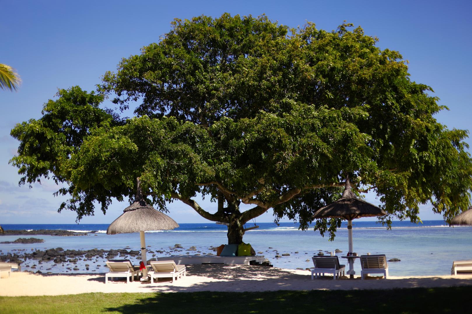 Shanti Maurice Resort & Spa foto 26