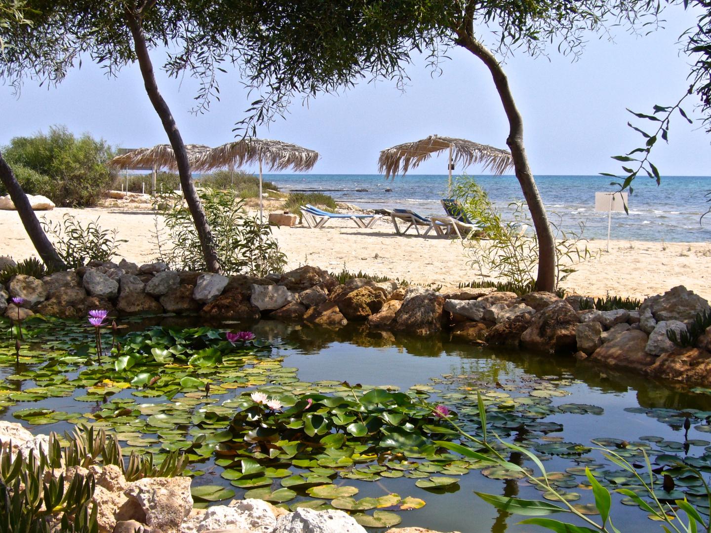 Thalassines Beach Villas foto 39