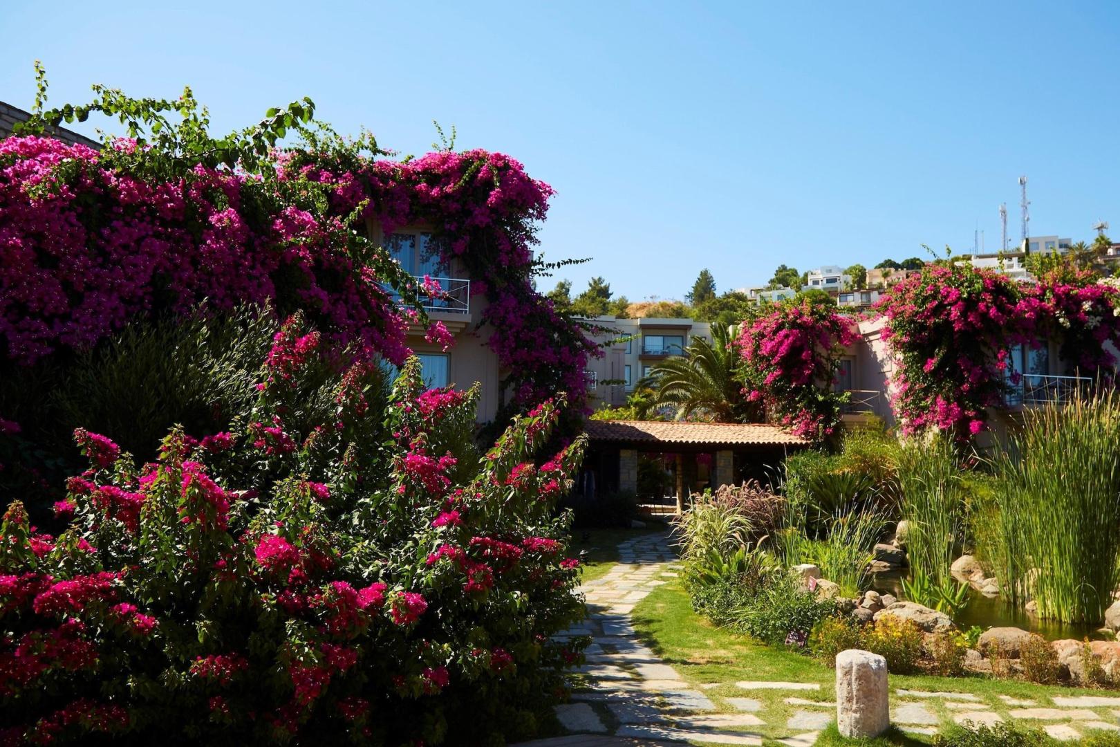 Tropische tuin met palmbomen — No:81 Hotel
