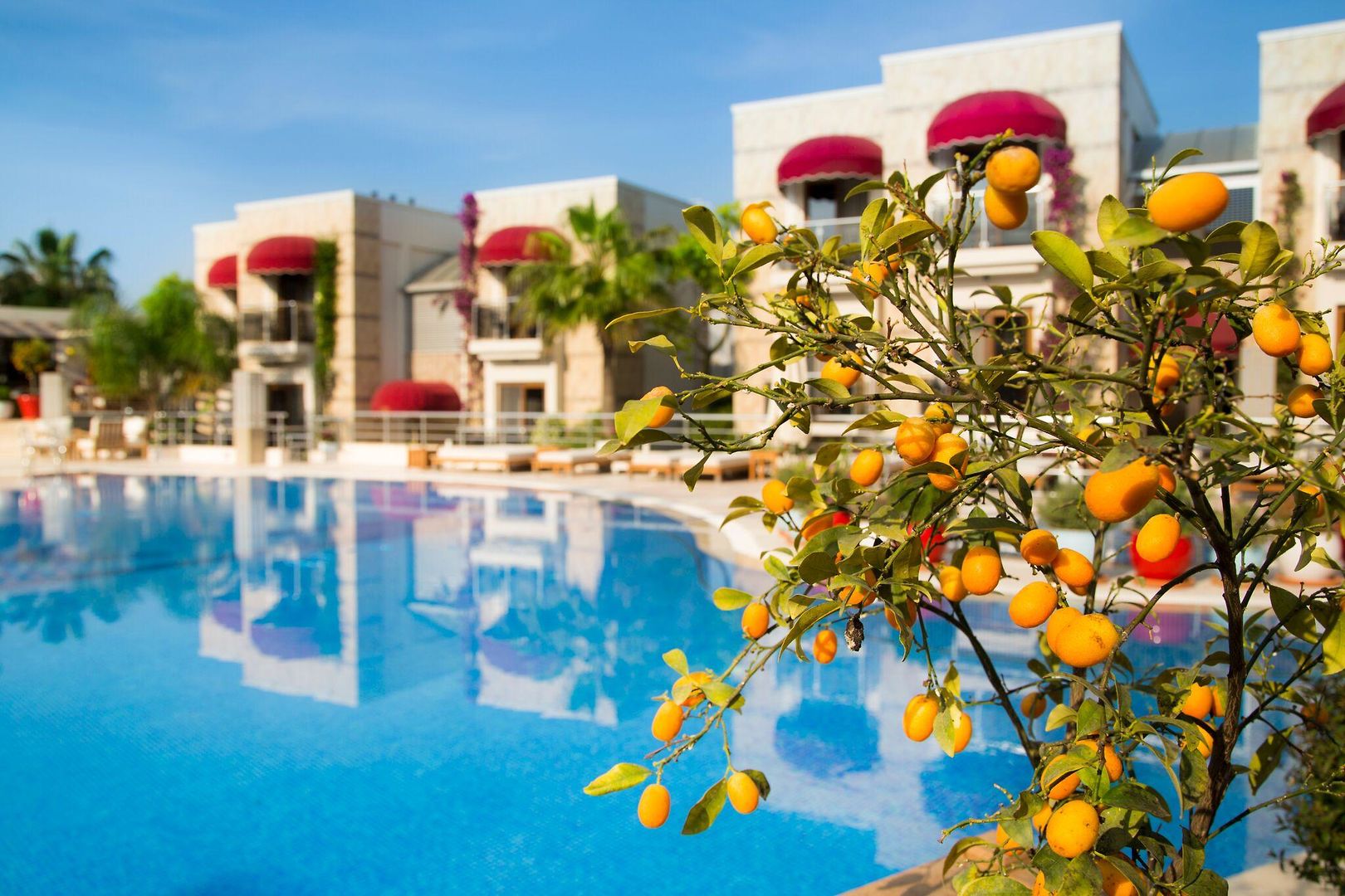 Bodrium Hotel & SPA foto 58