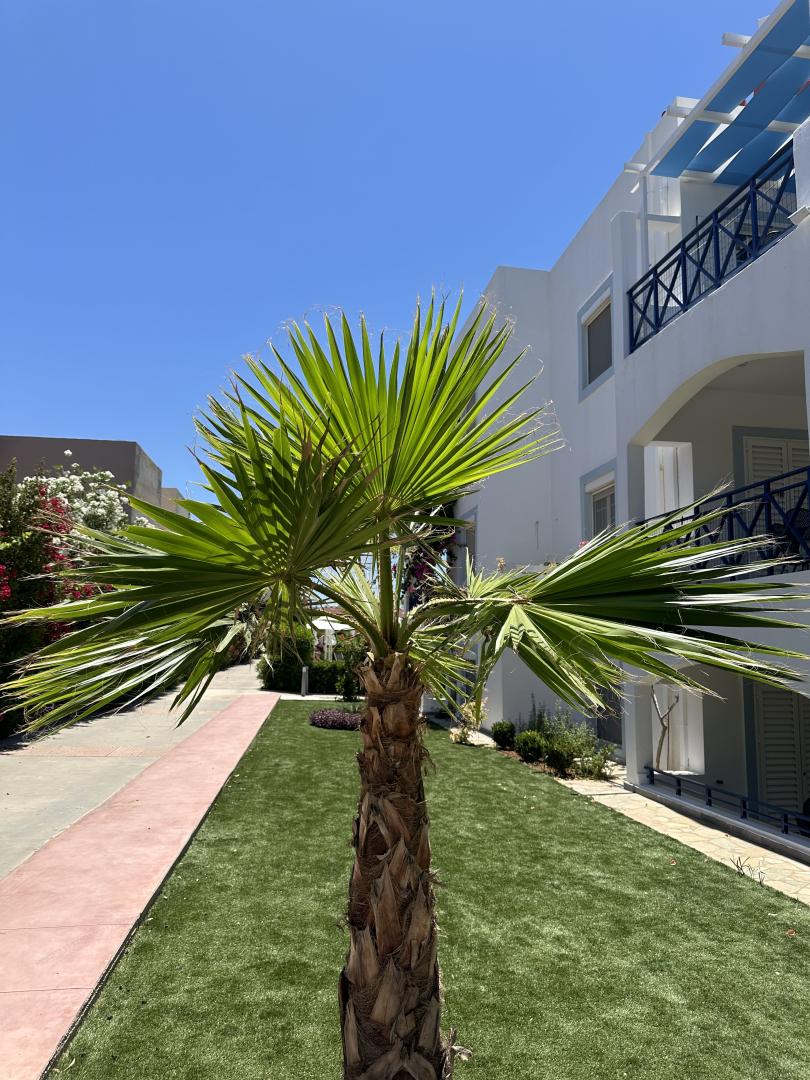 Evdokia Suites foto 25