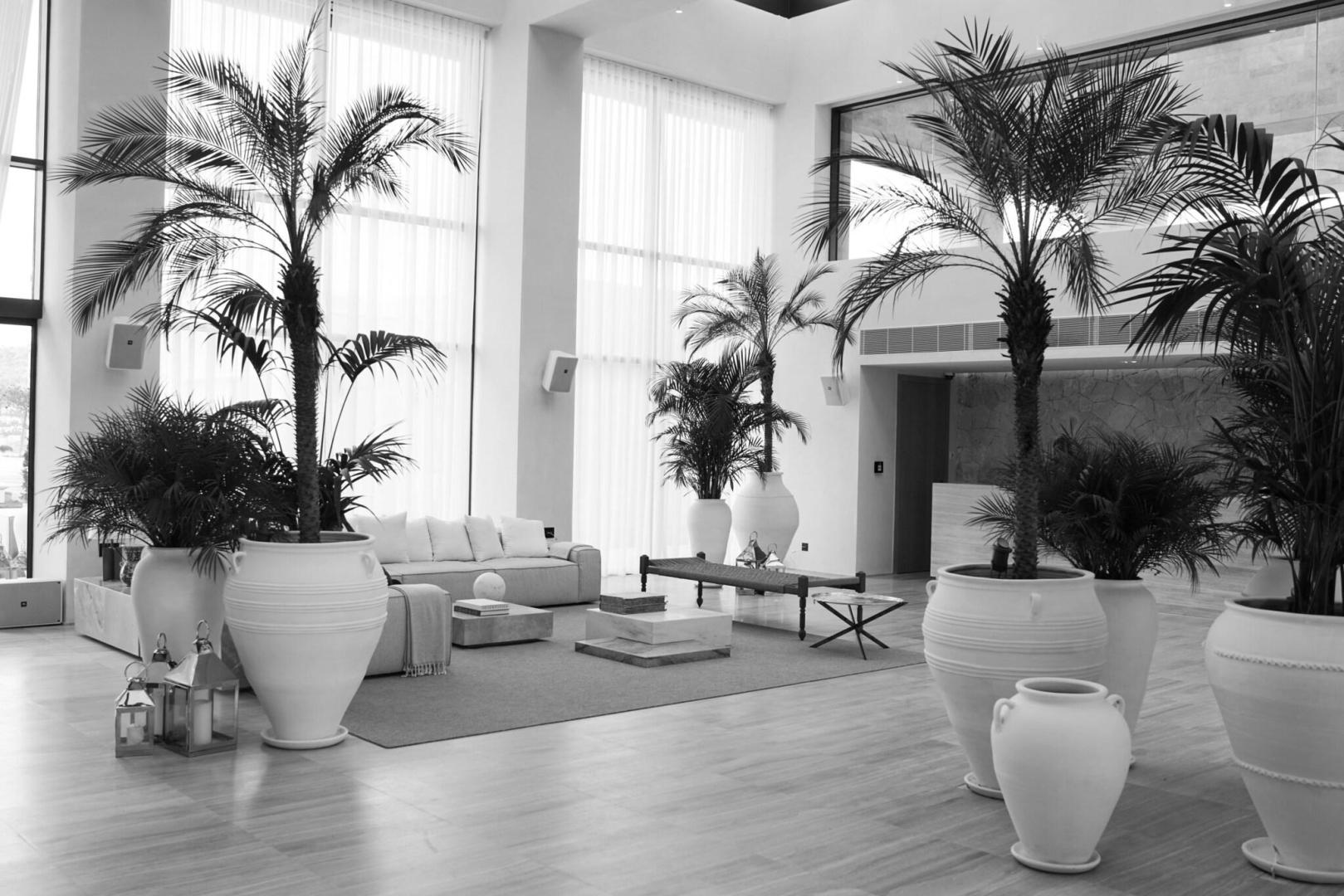 Tropische tuin met palmbomen — The Bodrum EDITION
