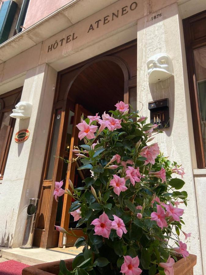 Hotel Ateneo in Venice - foto 5